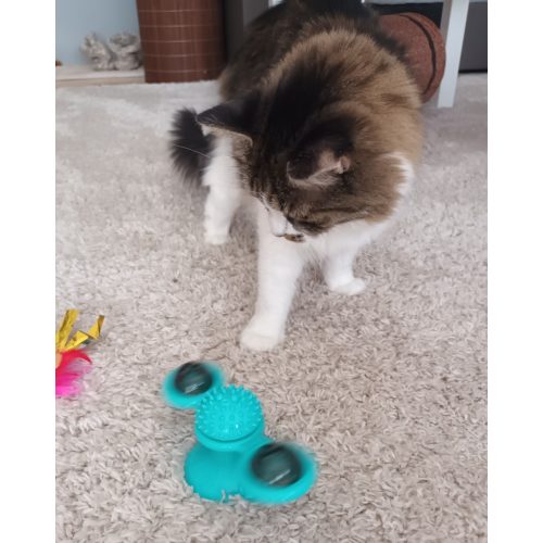 Windmill Interactive Cat Toy