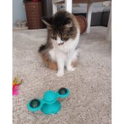 Windmill Interactive Cat Toy