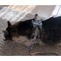 Plaid Cat Harness and Leash Set with Bows
