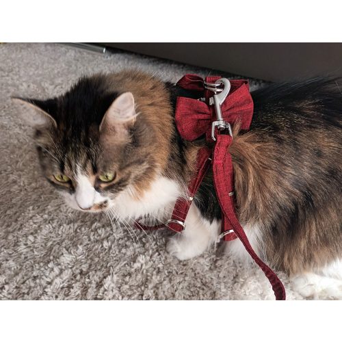 Elegant Harness and Leash Set for Cats