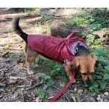 Burgundy Dog Raincoat  (XS-XXXL, 30-76 cm)
