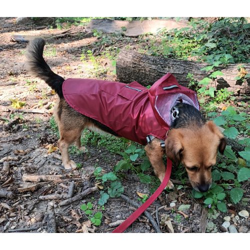 Burgundy Dog Raincoat  (XS-XXXL, 30-76 cm)