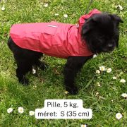 Burgundy Dog Raincoat  (XS-XXXL, 30-76 cm)