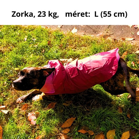 Burgundy Dog Raincoat  (XS-XXXL, 30-76 cm)