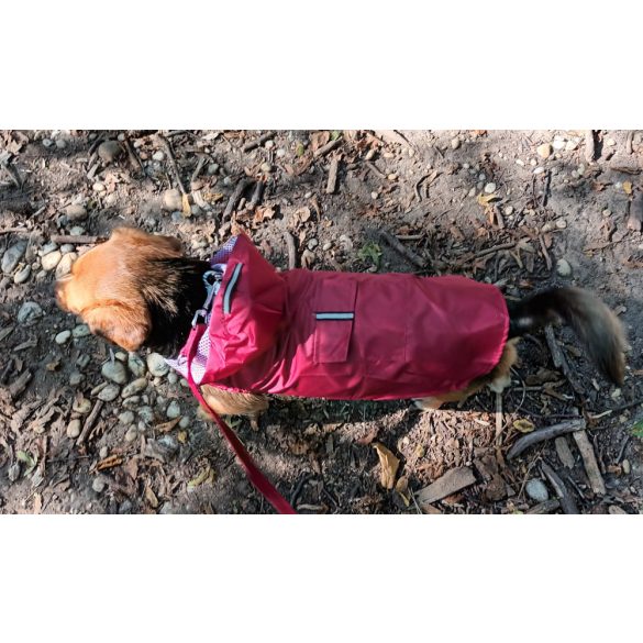 Burgundy Dog Raincoat  (XS-XXXL, 30-76 cm)