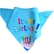 Birthday Bandana for Boy Dogs