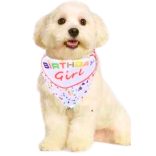 Birthday Bandana for Girl Dogs