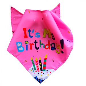 Birthday Bandana for Girl Dogs