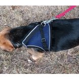 Széles, sötétkék hám pórázzal kutyáknak (S-M, 38-58 cm)