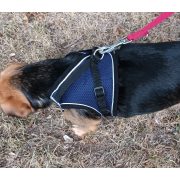 Blue Dog Harness and Leash Set