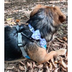 Lilac Bowtie for Cats and Dogs