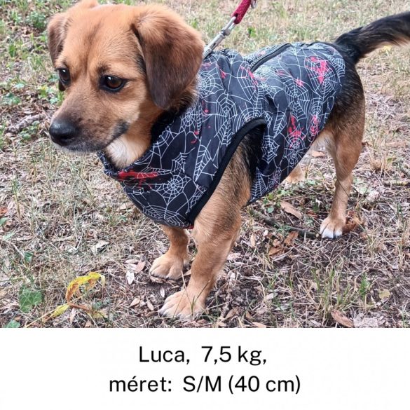 Dog Coat with Spidernet (XXS-S/M, 27-40 cm)