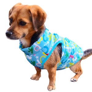 Light Blue Dog Coat (XS-S/M, 30-40 cm)