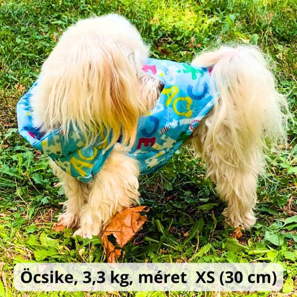 Light Blue Dog Coat (XS-S/M, 30-40 cm)