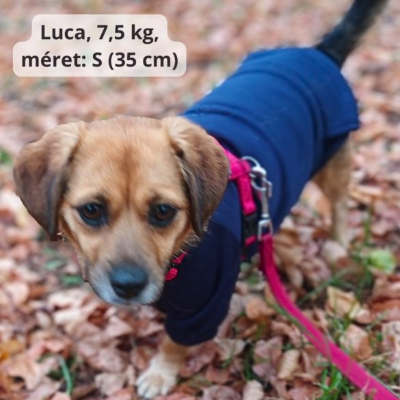 Dark Blue Hoody for Dogs (XXS-S/M 26-40 cm)