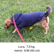 Dark Blue Hoody for Dogs (XXS-S/M 26-40 cm)