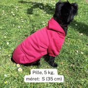 Classic Red Hoody for Dogs (XXS-S/M 26-40 cm)