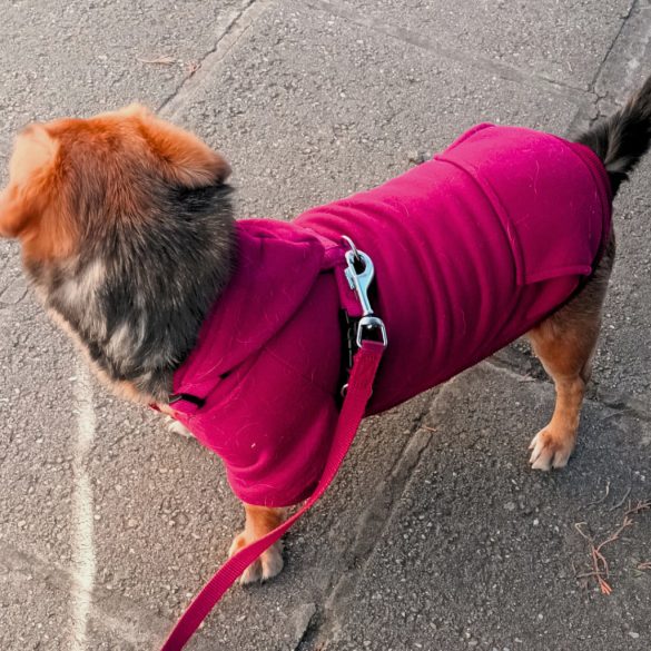 Classic Red Hoody for Dogs (XXS-S/M 26-40 cm)