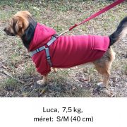 Classic Red Hoody for Dogs (XXS-S/M 26-40 cm)