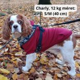 Classic Red Hoody for Dogs (XXS-S/M 26-40 cm)