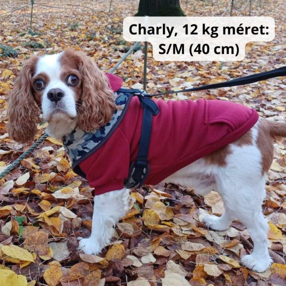 Classic Red Hoody for Dogs (XXS-S/M 26-40 cm)