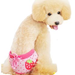 Sanitary Pants for Dogs with Strawberries (24-44 cm)