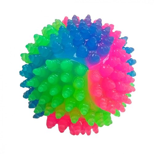 Luminous Ball Dog Toy