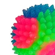 Luminous Ball Dog Toy