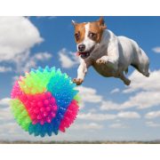 Világító labda kutyáknak