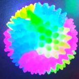 Világító labda kutyáknak