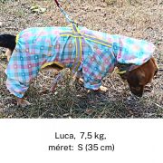 Checked 4-leg Raincoat for Dogs (XS-S, 30-35 cm)