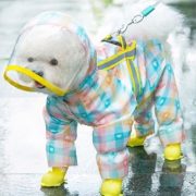 Checked 4-leg Raincoat for Dogs (XS-S, 30-35 cm)