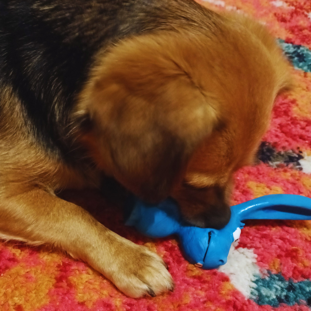 Blue bunny dog clearance toy