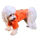 Two-legged Orange Dog Raincoat with Hoody (XS-S/M, 30-40 cm)