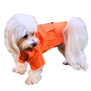 Two-legged Orange Dog Raincoat with Hoody (XS-S/M, 30-40 cm)