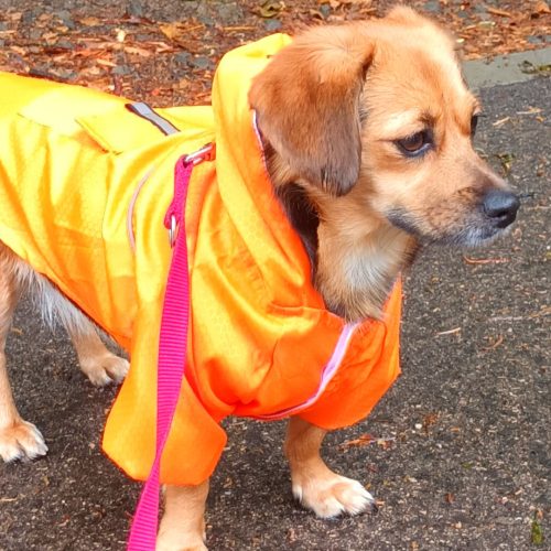 Kétlábas kapucnis kutya esőkabát, narancs színű (XS-S/M, 30-40 cm)