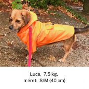 Kétlábas kapucnis kutya esőkabát, narancs színű (XS-S/M, 30-40 cm)