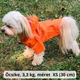 Two-legged Orange Dog Raincoat with Hoody (XS-S/M, 30-40 cm)