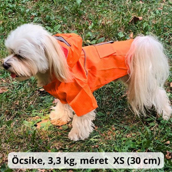 Two-legged Orange Dog Raincoat with Hoody (XS-S/M, 30-40 cm)