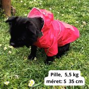 Two-legged Red Dog Raincoat with Hoody (XS-S/M, 30-40 cm)