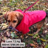 Two-legged Red Dog Raincoat with Hoody (XS-S/M, 30-40 cm)