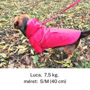 Two-legged Red Dog Raincoat with Hoody (XS-S/M, 30-40 cm)