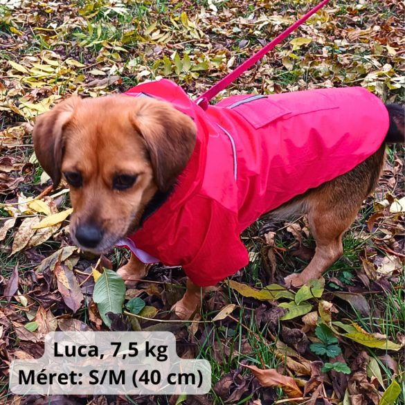 Two-legged Red Dog Raincoat with Hoody (XS-S/M, 30-40 cm)