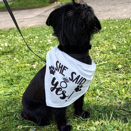 Wedding Bandana with Writing