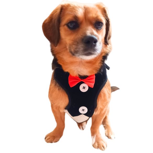 Elegant Dog Vest (S-M, 28-54 cm)