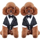 Tuxedo for Elegant Dogs (XXS-S/M 27-40 cm)