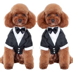 Tuxedo for Elegant Dogs (XXS-S/M 27-40 cm)