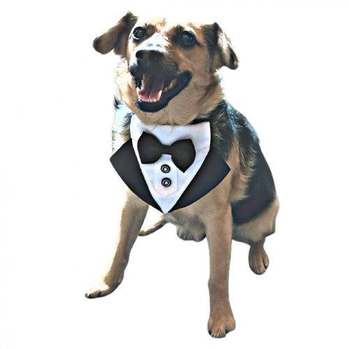 Tuxedo Vest Bandana for Dogs (S-M,  25-50 cm)