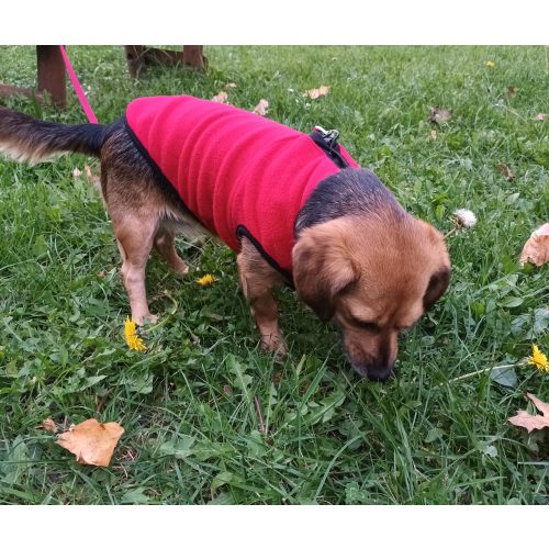Kutya polár pulóver, piros (XXS-S/M, 26-40 cm)