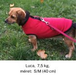 Fleece Dog Pullover Red ( XXS-S/M 26-40 cm)